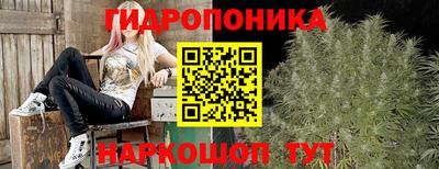 гашик Ликино-Дулёво